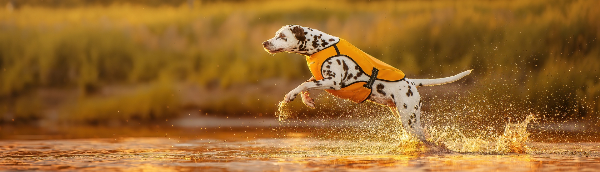 Rukka Pets® EN Official Site | Luhta.com