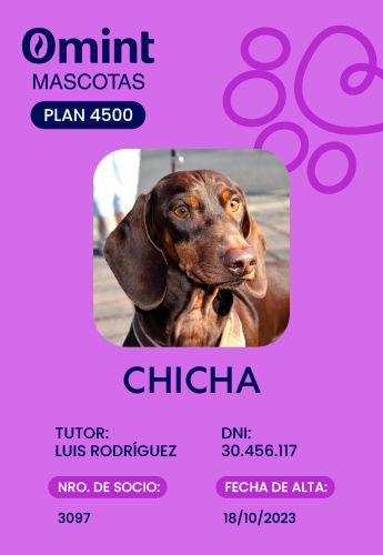 Plan 4500