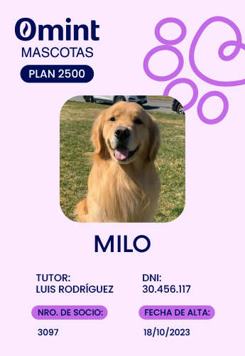 Plan 2500
