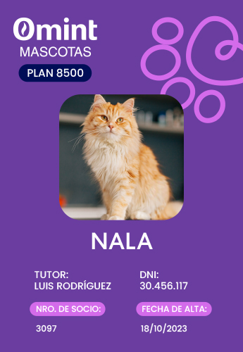 Plan 8500