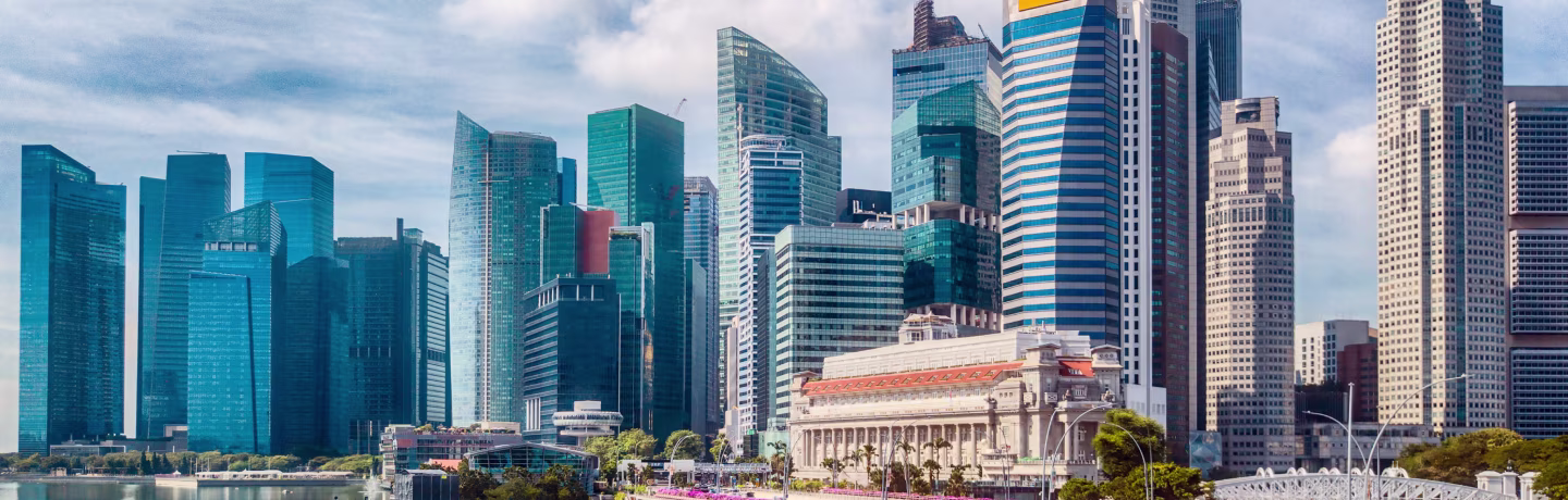 FIRM Article SWFs Header