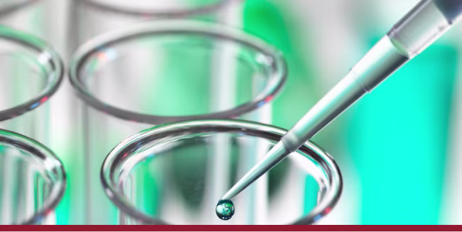 Testing, Inspection, Certification & Compliance Sector Brief LI web-media