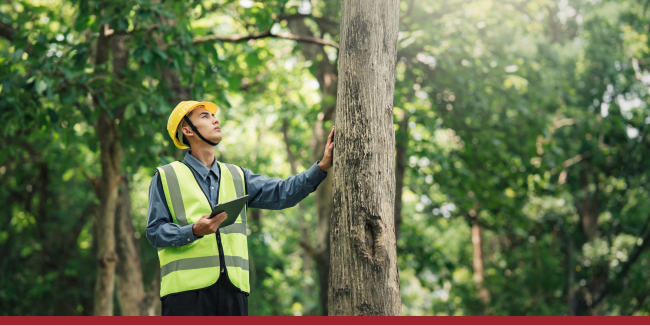 Environmental Services