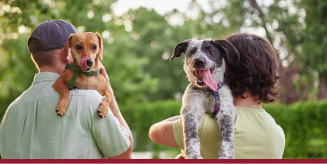 Pet Supplements LI web-media