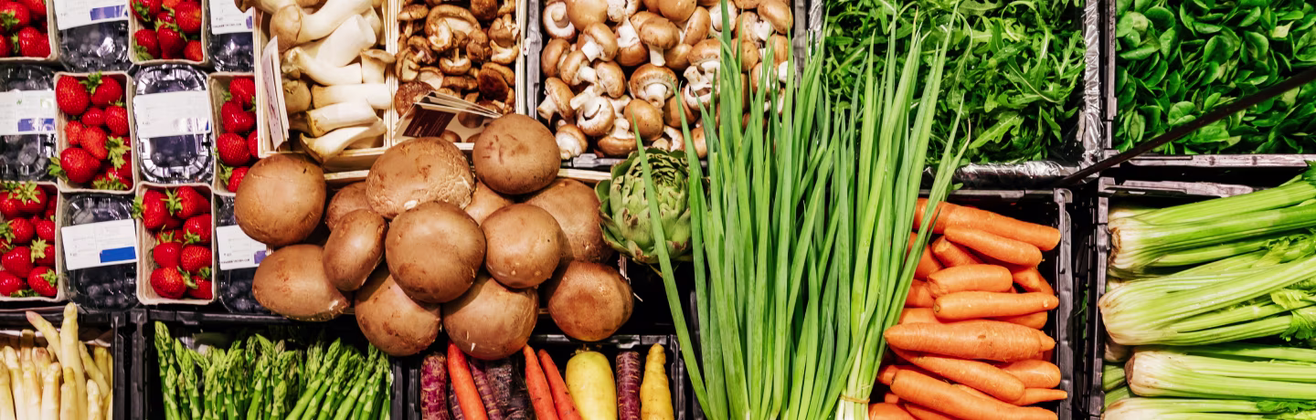 Food & Beverage Sector Brief Header