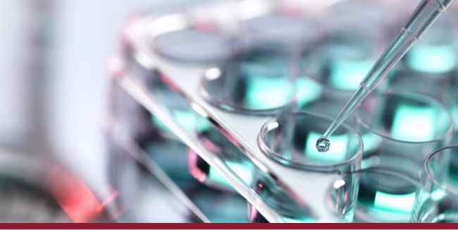 Pipetting sample into multi-well tray