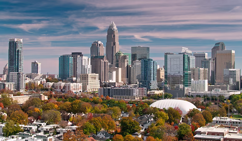 Charlotte lr