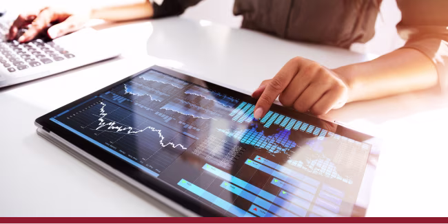 TECH Sector Brief Data and Information Services 1H 2025 LI web-media