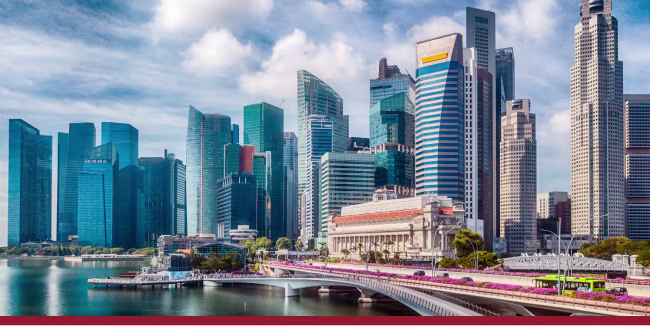 FIRM Article SWFs LI web-media