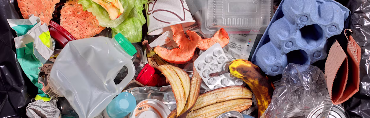 Environmental Services Sector Brief Header