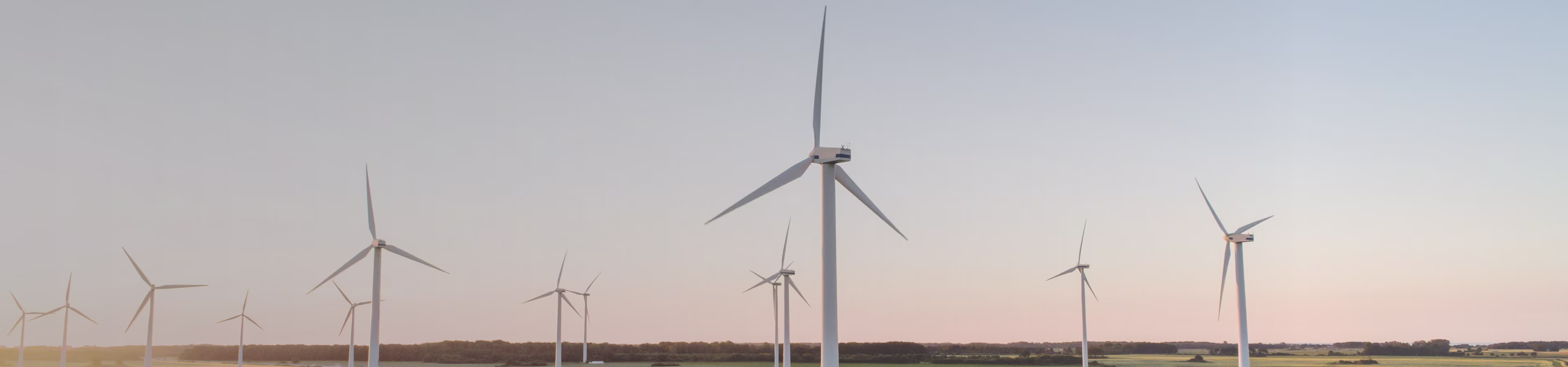 epi_web-header-image_v1.png