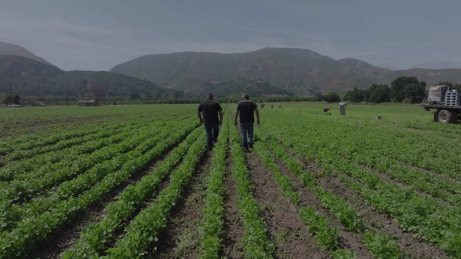 Legacy Farms Thumbnail