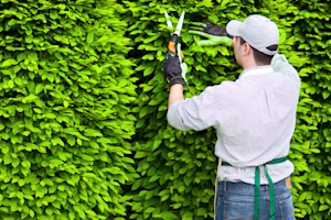 bigstock-professional-gardener-pruning-45239662.jpg