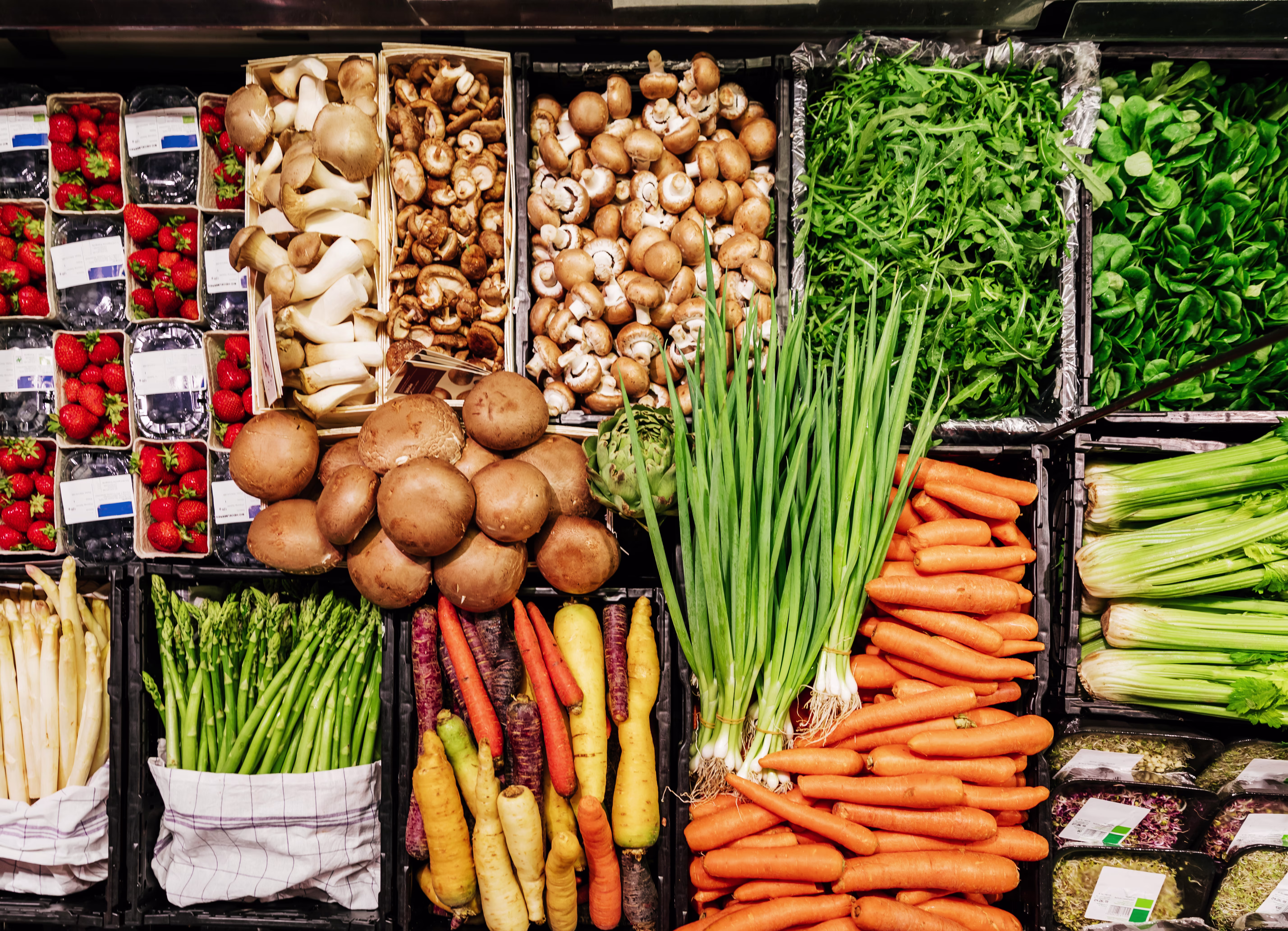 food and beverage - stock