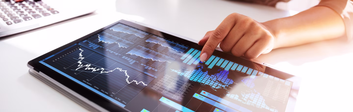 TECH Sector Brief Data and Information Services 1H 2025 Header