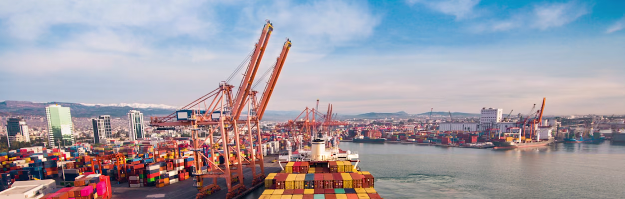 T&L Sector Brief Third-Party Logistics Q2 2025 Header