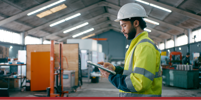 Mission-Critical Software: Compliance, Audit, and Risk Management