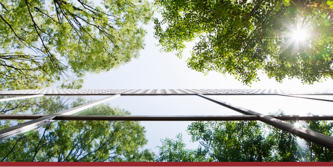 Environmental Services Report: An Ecosystem of Potential