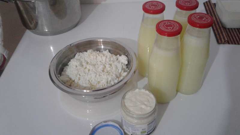 Homemade Cheese Without Rennet Cottage Cheese Fit And