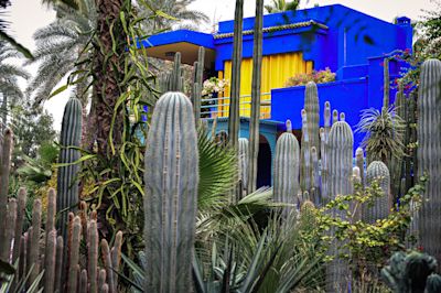 Majorelle–YSL District (edge of Gueliz)