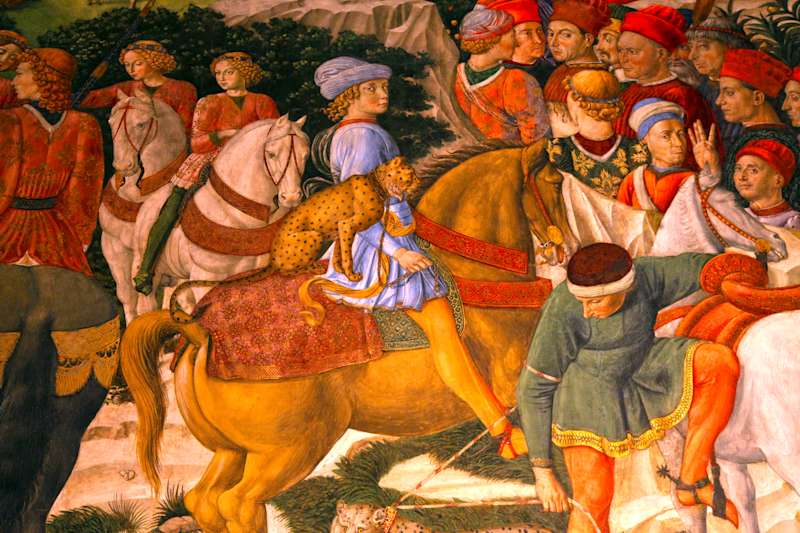 The Medici Family and the City of Florence in the Renaissance
