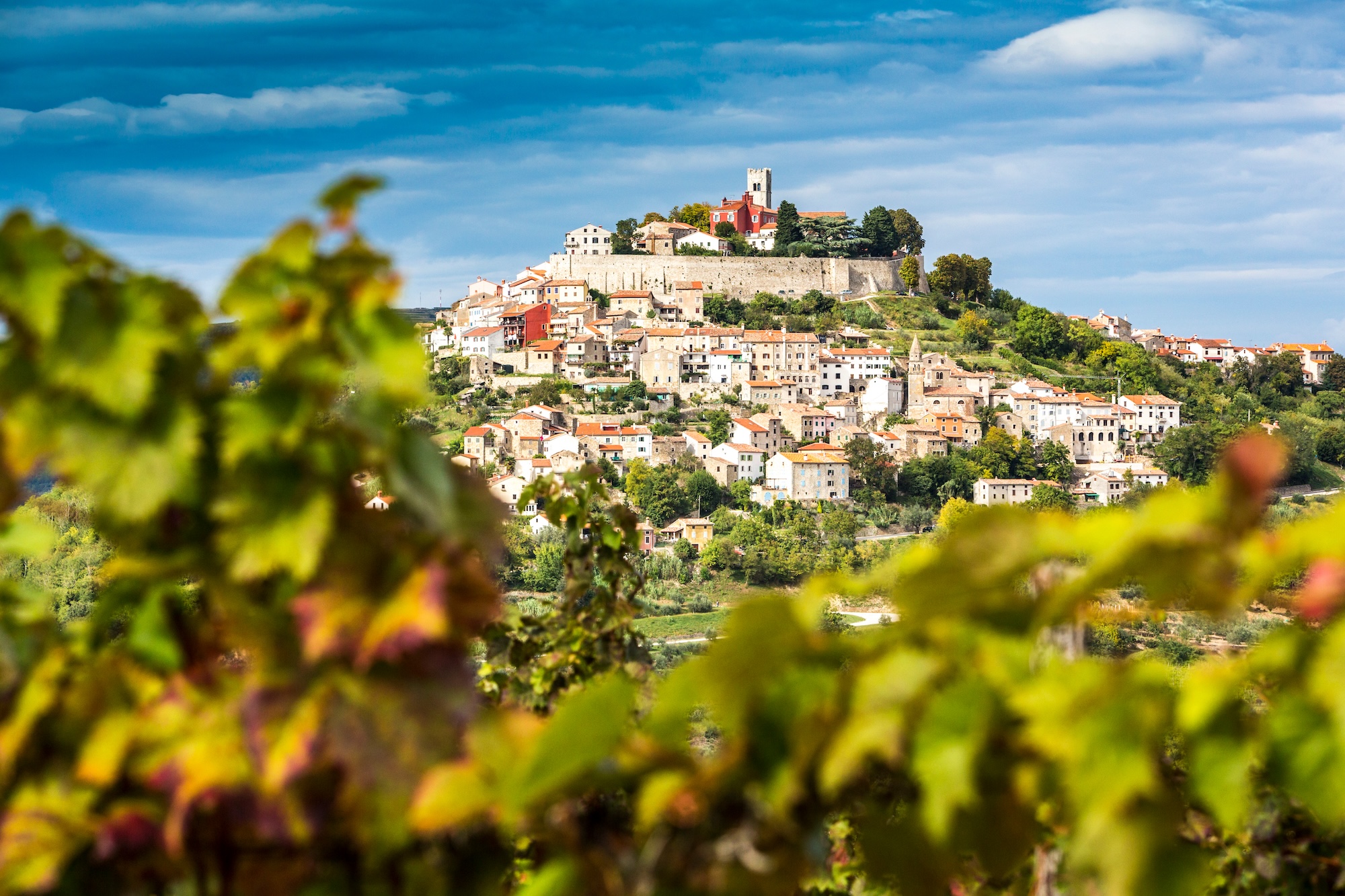 A Guide to the Best Istrian Food, Croatia - Fernwayer