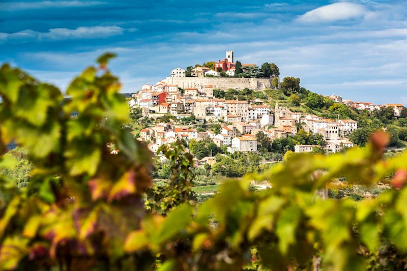 Istrian Food Guide: Truffles, Wine and Adriatic Flavors