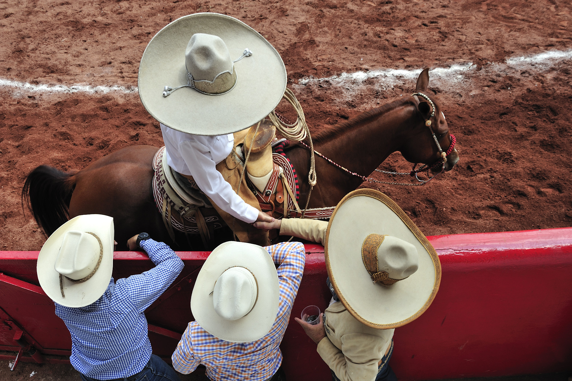 Charrería: Mexico's National Sport of Horses, Heritage & Culture