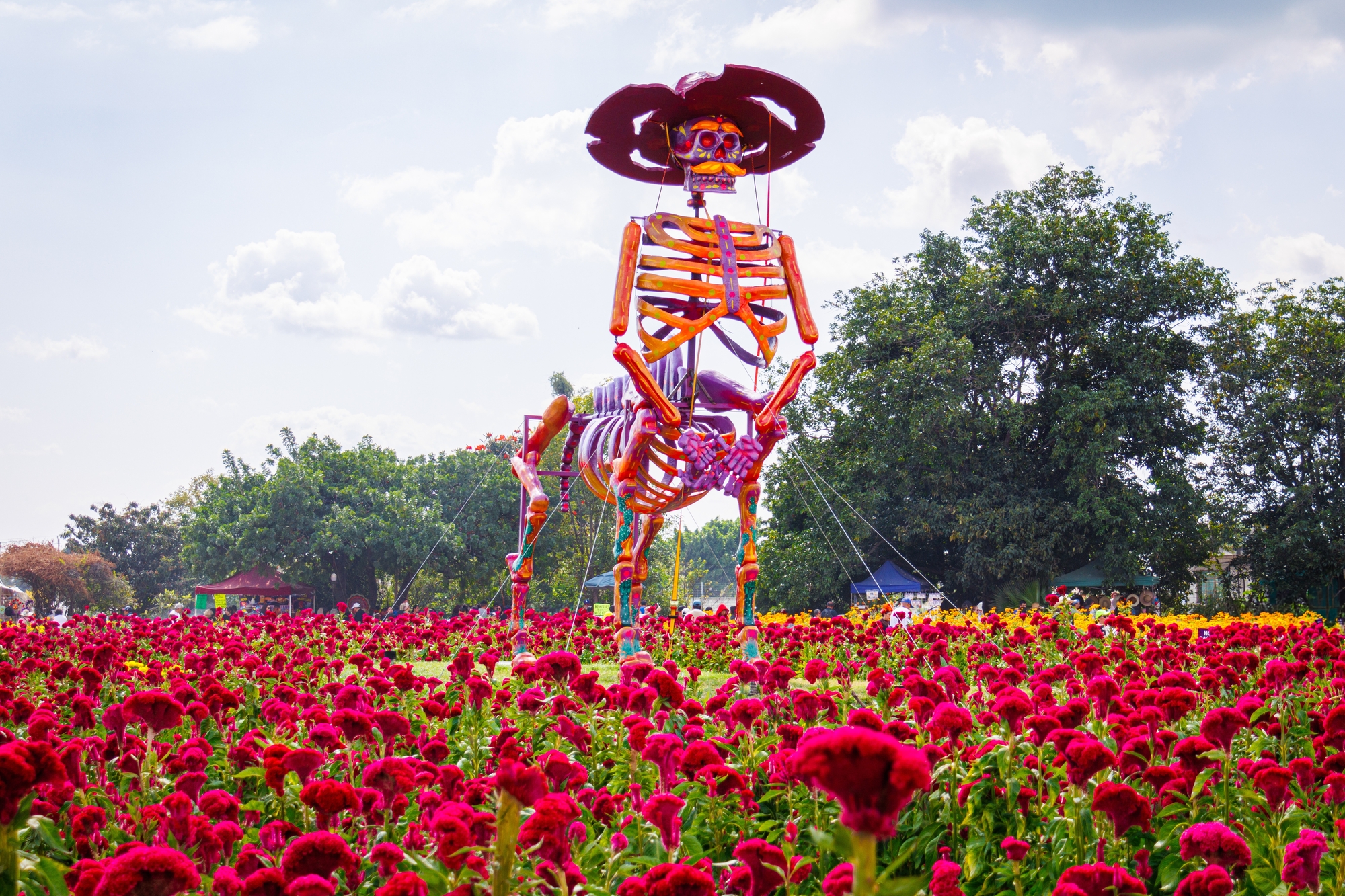 Visiting the Valley of Catrinas in Atlixco during Day of the Dead