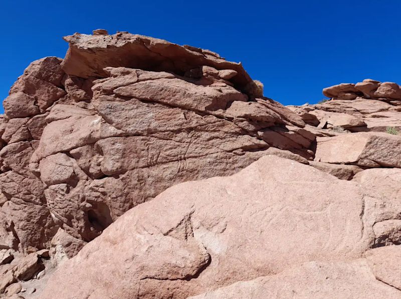 The Art of Living in the Atacama Desert
