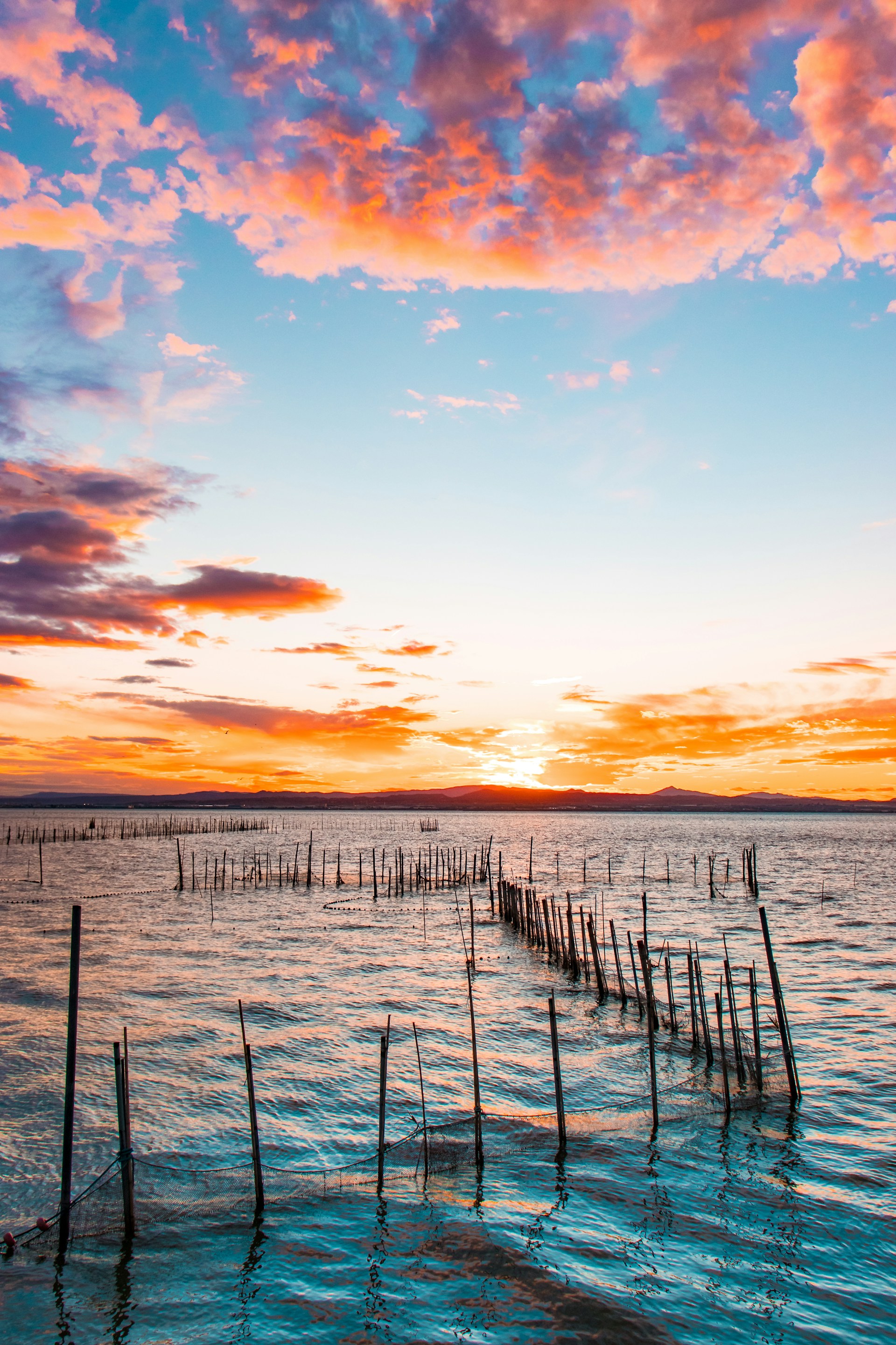 Albufera Natural Park Valencia