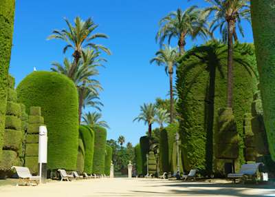 Visit Cádiz: Beaches, Seafood and Andalusian Life