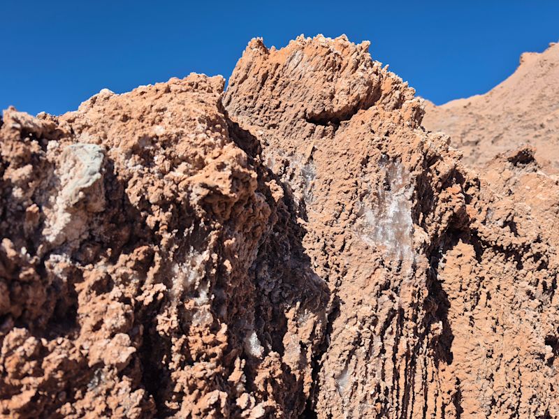 The Art of Living in the Atacama Desert
