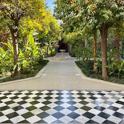 Dar el Bacha citrus trees