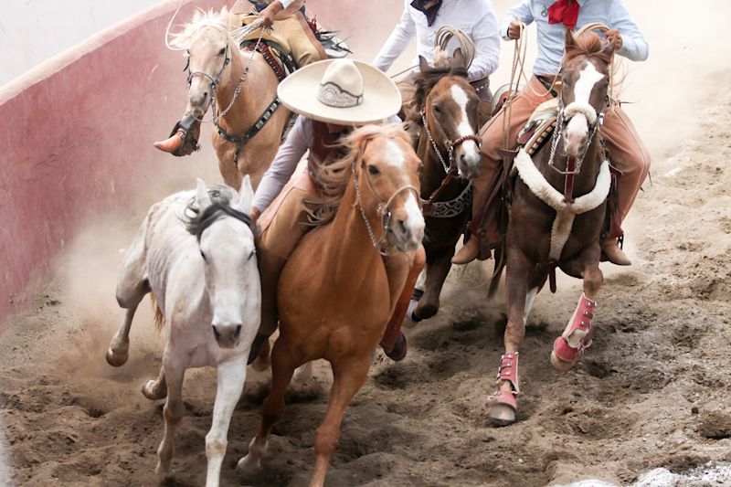 Charrería: Mexico’s National Sport and Cultural Heritage