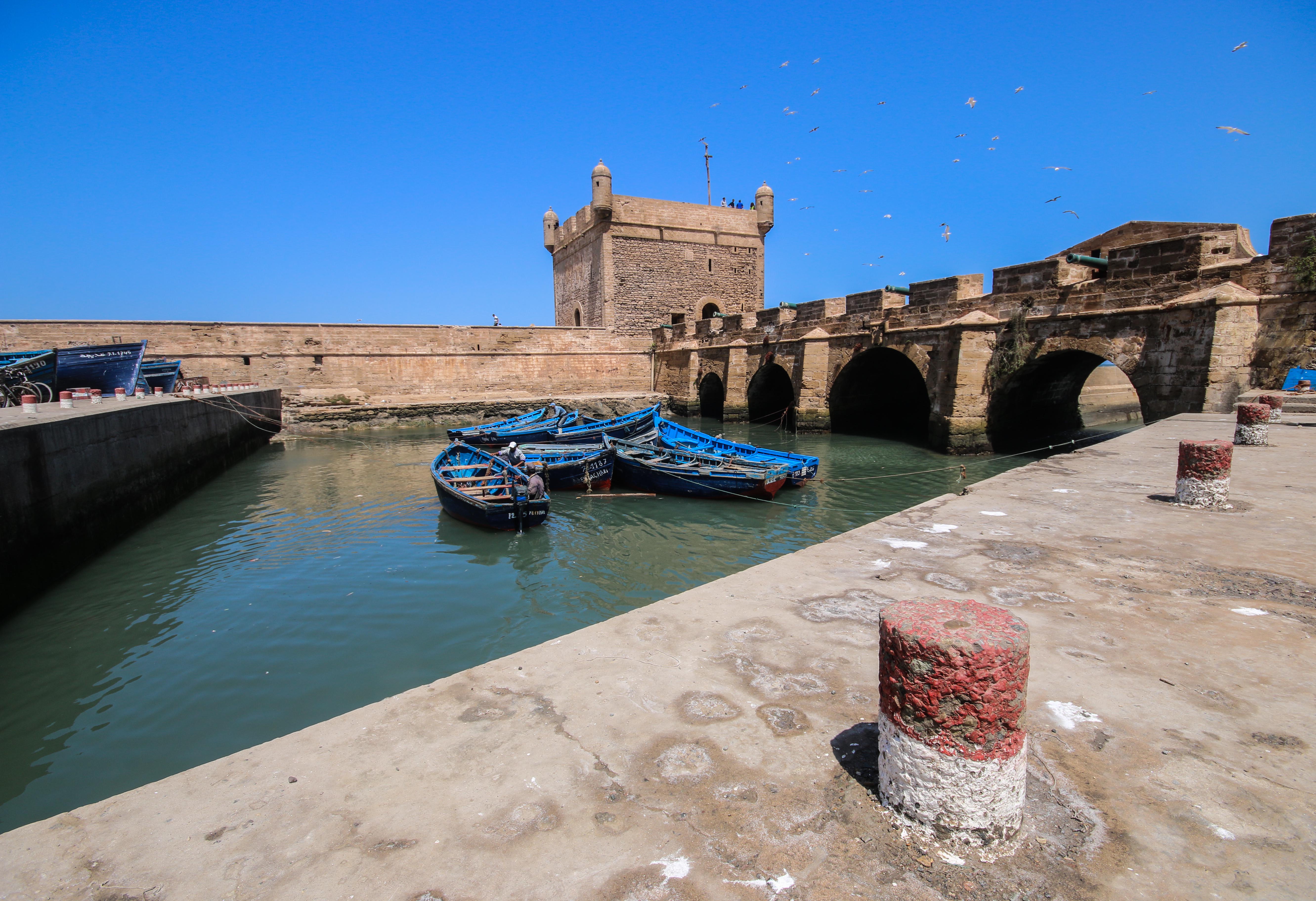 Blue fishing boats bob in the protected waters of Essaouira’s port