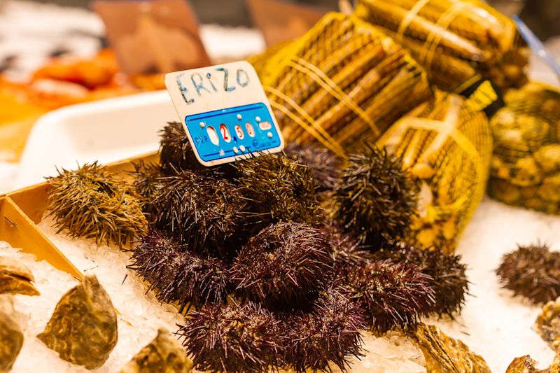 Visit Cádiz: Beaches, Seafood and Andalusian Life