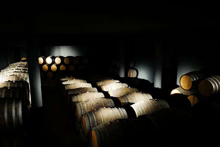 Douro Valley Tours: How to Choose The Right One for You
