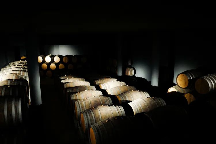 Douro Valley Tours: How to Choose The Right One for You