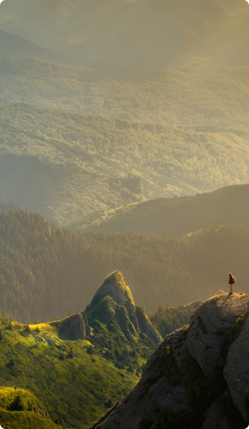 Test AJ- Internal newsroom