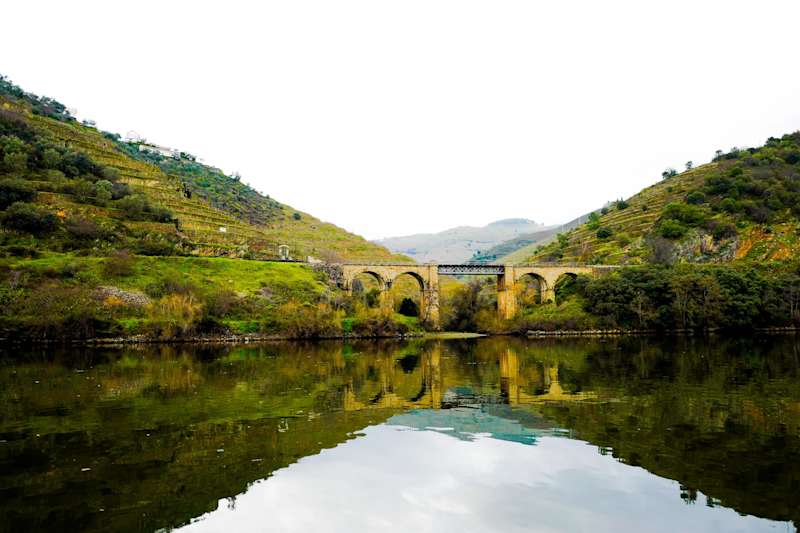 Douro Valley Tours: How to Choose The Right One for You