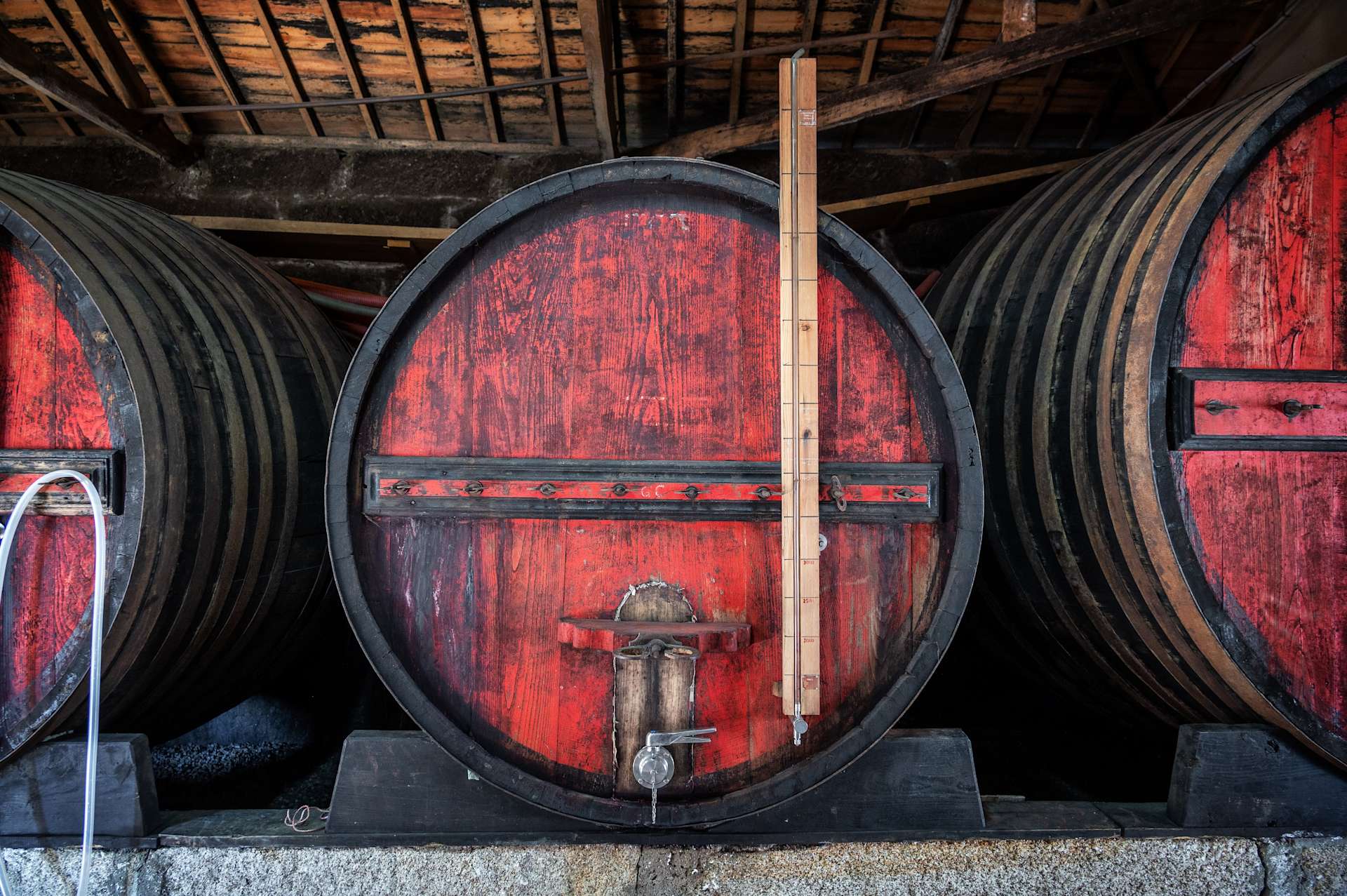 Douro Valley Tours: How to Choose The Right One for You