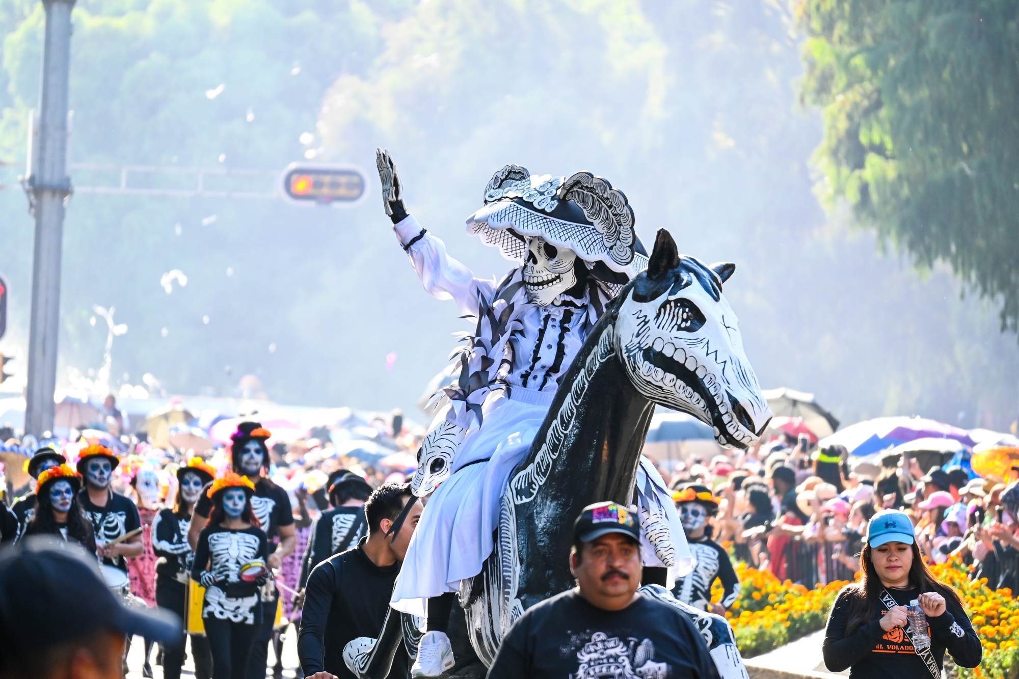 Best Things To Do in Mexico City - Fernwayer