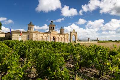 Wine Region