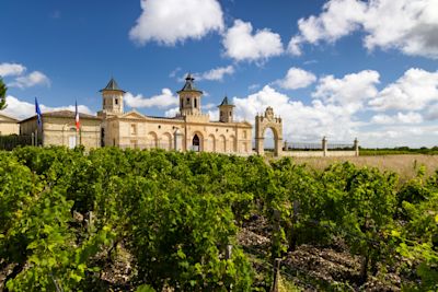 Wine Region