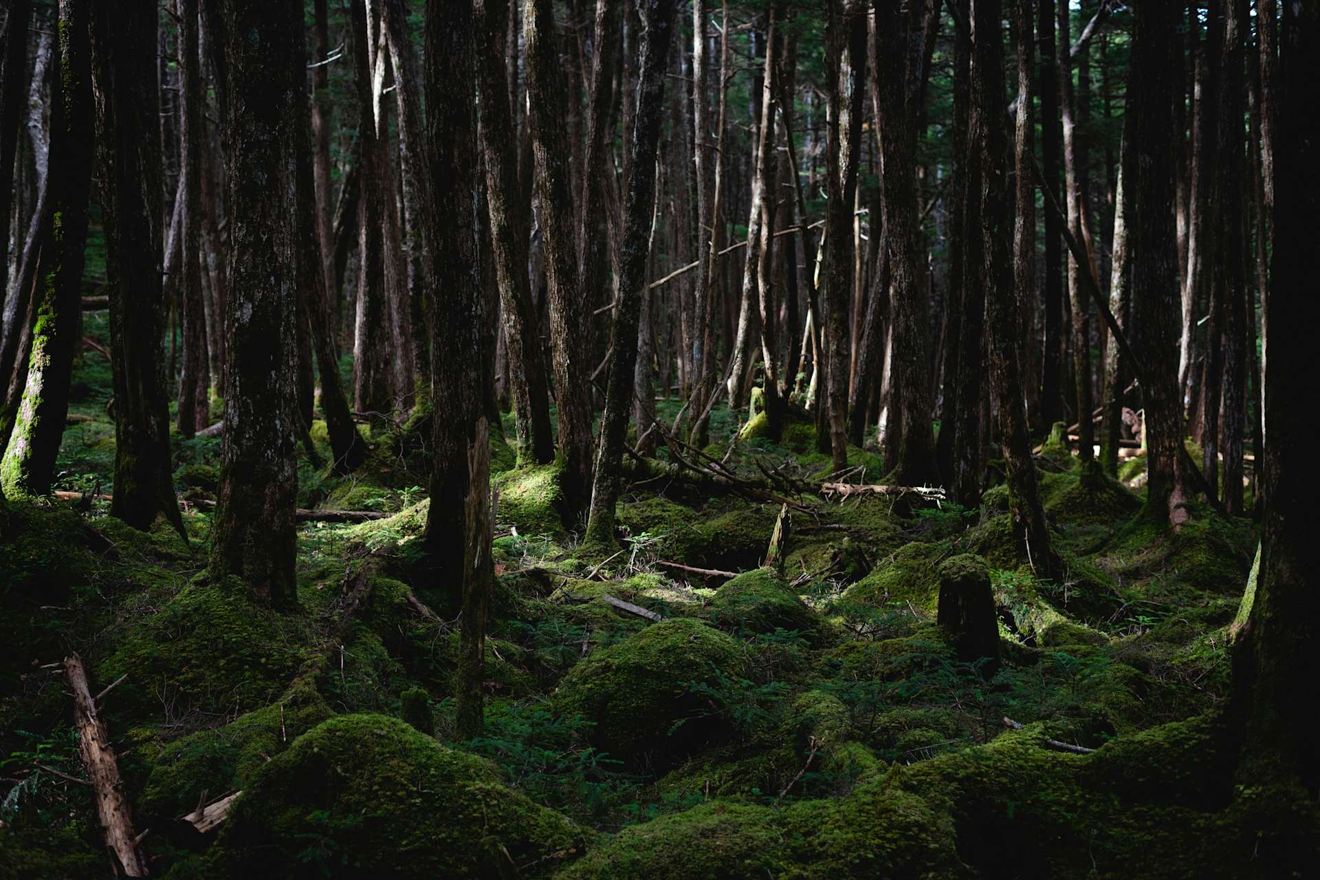 Hokkaido — Where Japan Becomes Vast, title