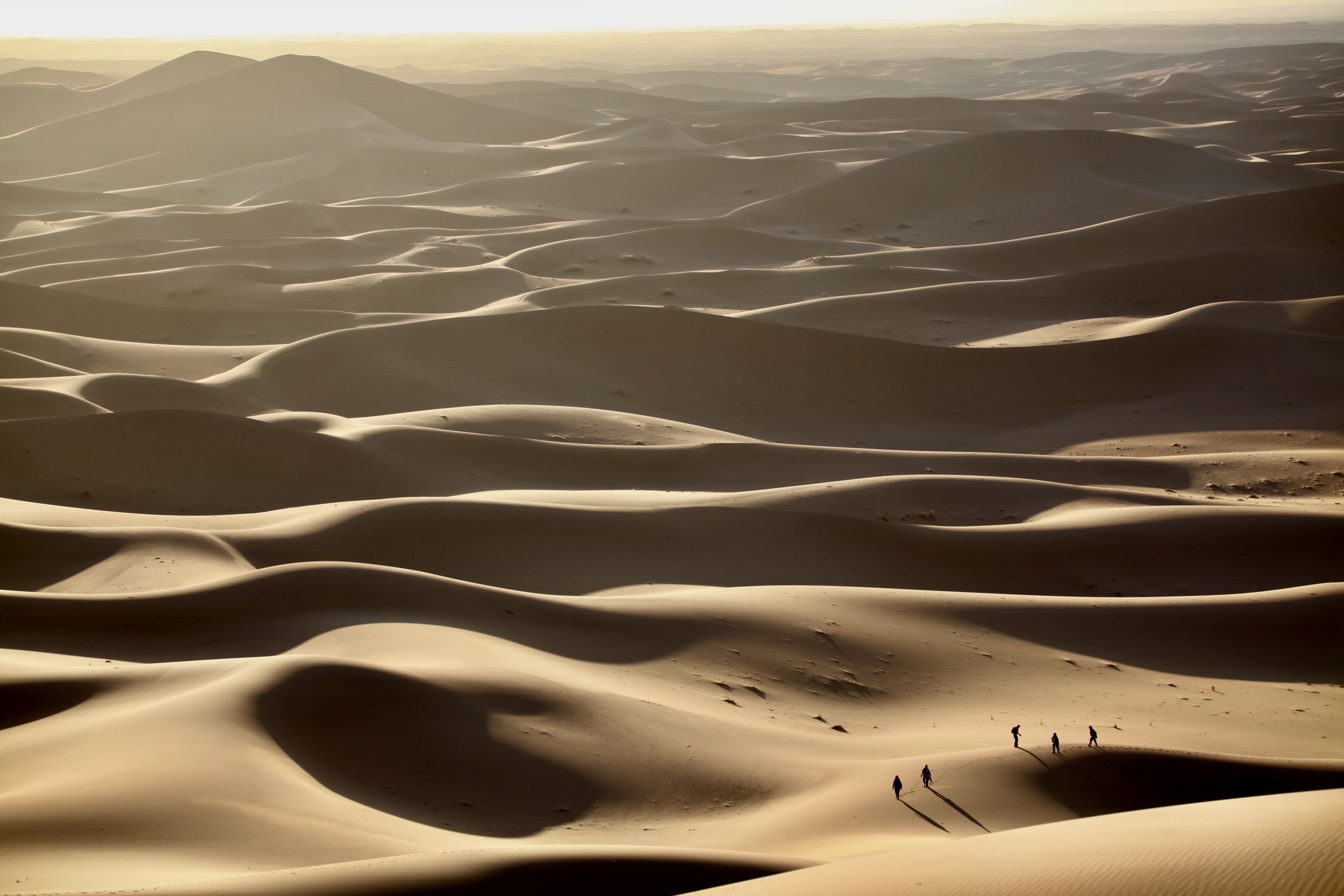 The Sahara dunes offer the ideal backdrop for your desert escapes 