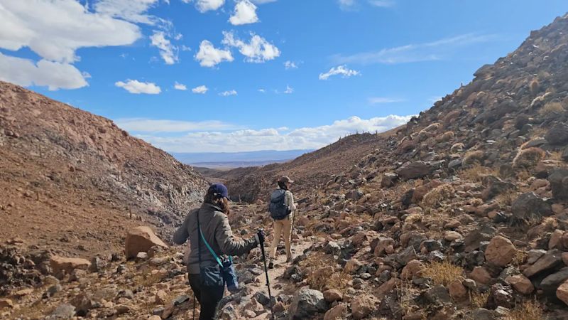 The Art of Living in the Atacama Desert