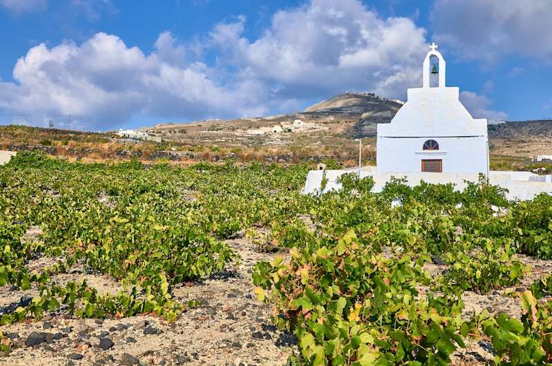Visit Santorini: Villages, Wine and Volcanic Landscapes