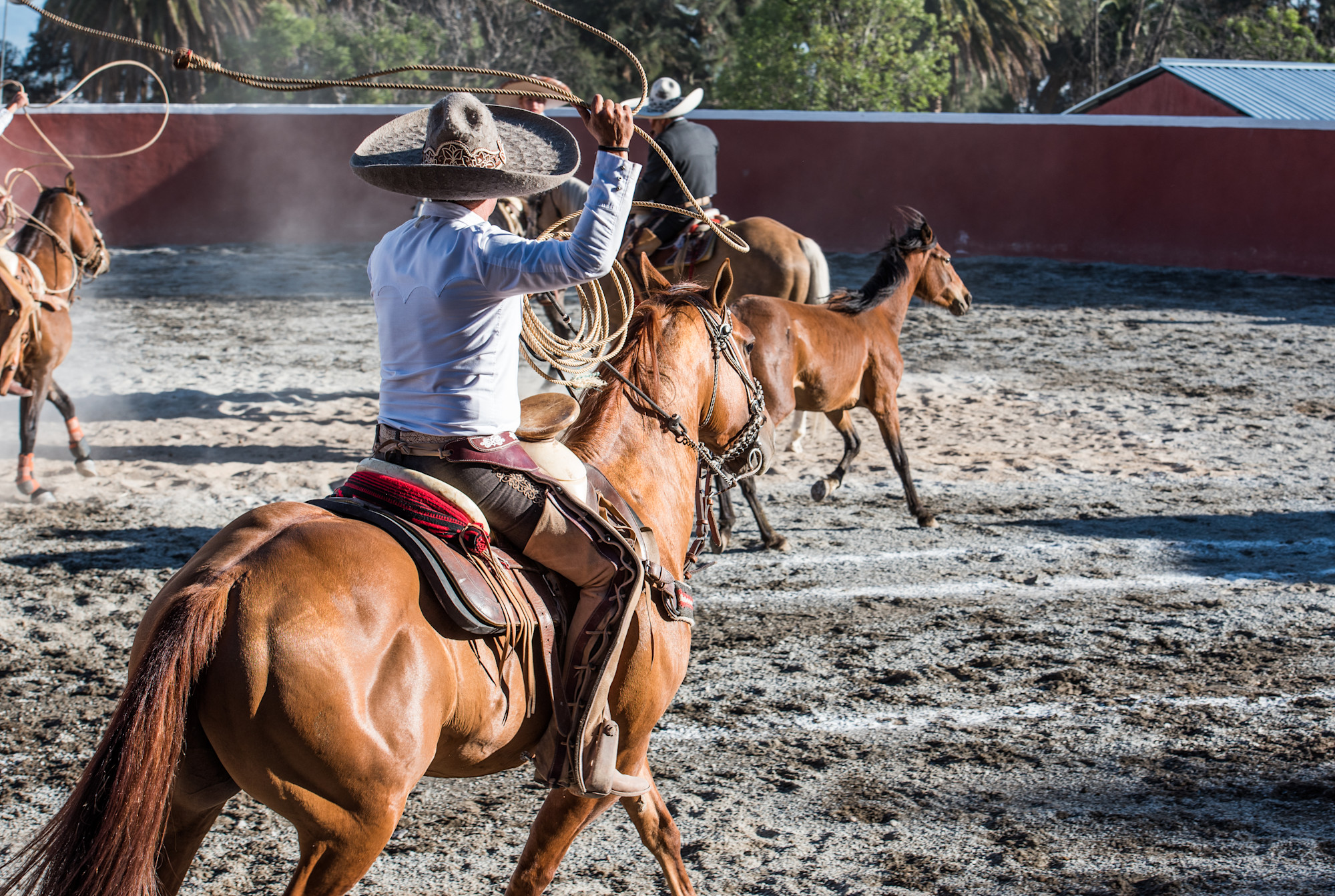 Charrería: Mexico's National Sport of Horses, Heritage & Culture